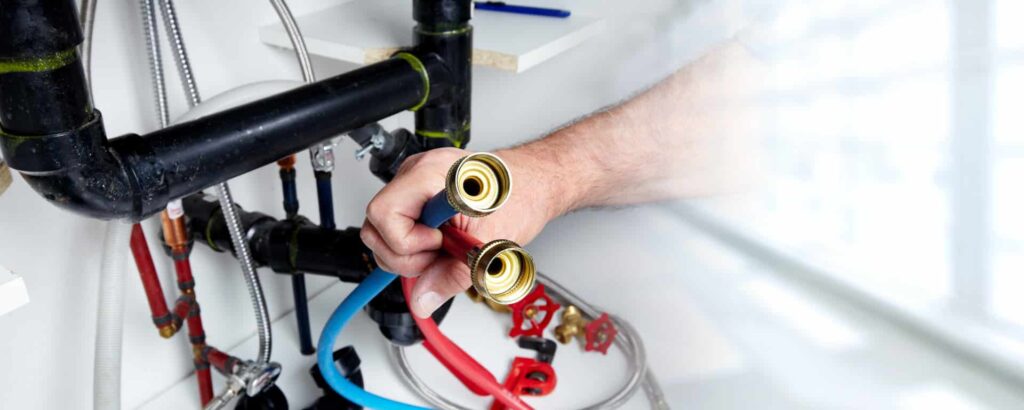 Evergreen-library-23