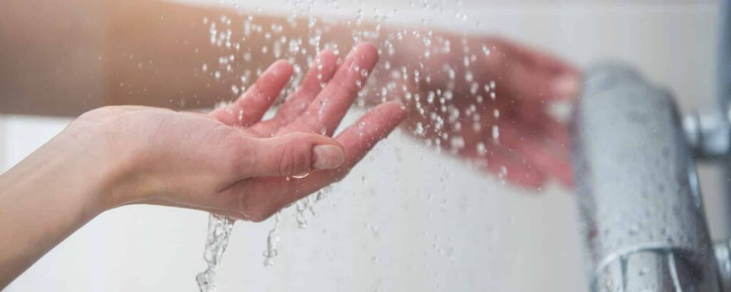 Evergreen-library-65